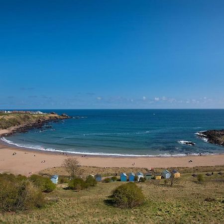 הוילה Coldingham 7 The Bay מראה חיצוני תמונה