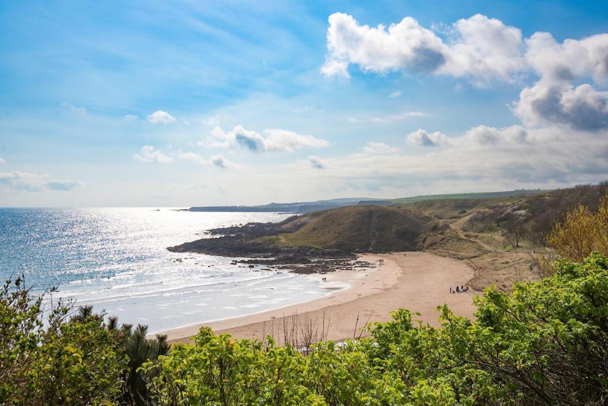 הוילה Coldingham 7 The Bay מראה חיצוני תמונה